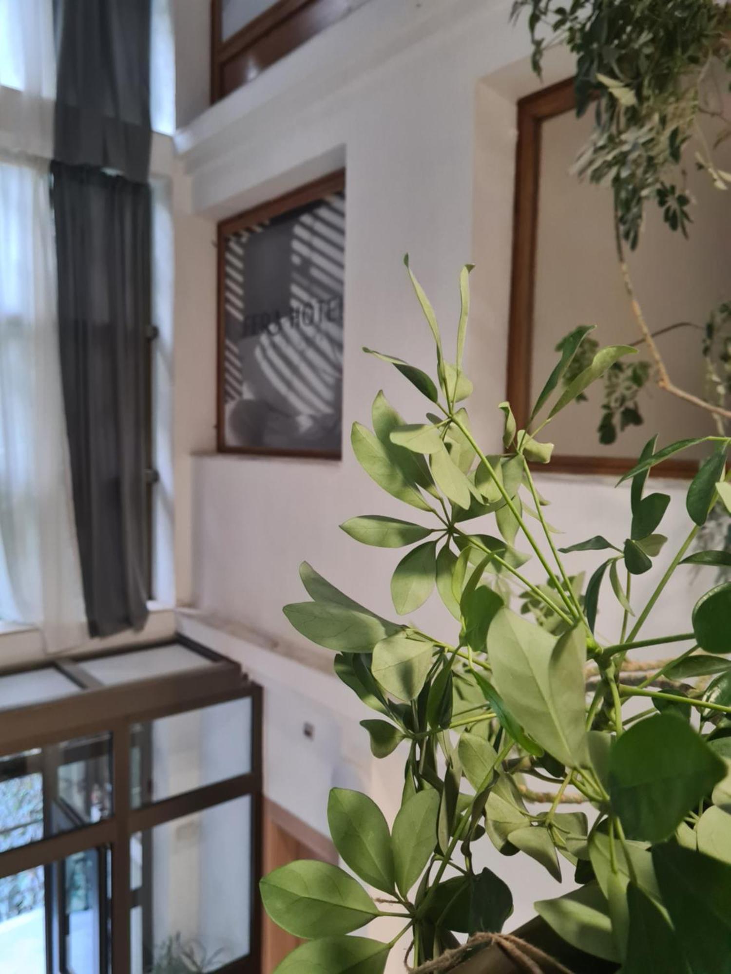 Fera Hotel Belgrado Buitenkant foto